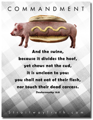 Pork Swine - Deuteronomy 14:8 www.StraitwayTruth.com
